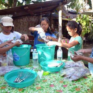 Mingo in Bohol