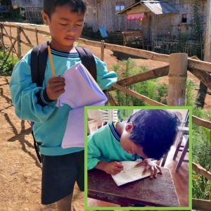Carl gets complete school supplies for schoolyear 2017