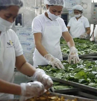 Crop growers, be part of a food chain that feeds the hungry Crop growers, be part of a food chain that feeds the hungry