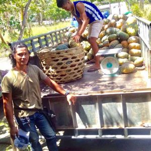 Meet Domingo Divinagracia, a grower for NVC