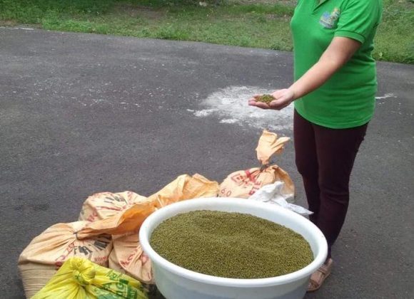 NVC sources homegrown mongo for Mingo Meals NVC sources homegrown mongo for Mingo Meals