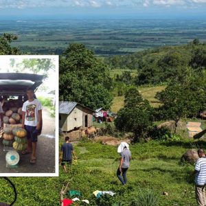 499 kilos of squash from the Victorias Integrated Social Forestry Farmer’s Association