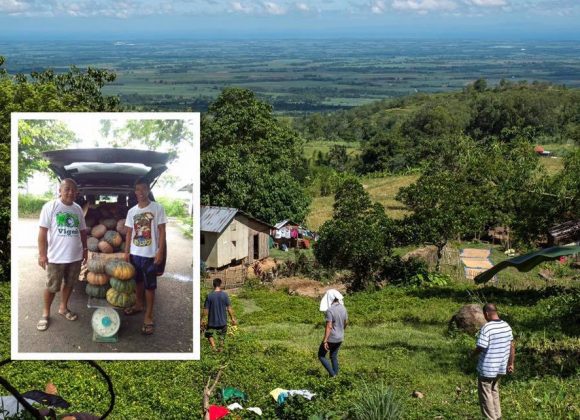 499 kilos of squash from the Victorias Integrated Social Forestry Farmer’s Association