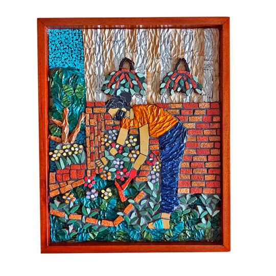 Plantita Series - C