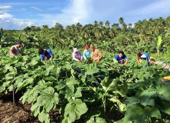 Sharing a Harvest of Love and Hope