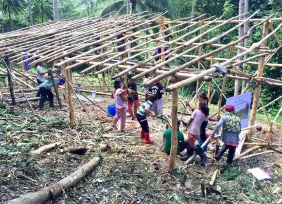 Construction of the Mushroom Cultivation Shed is Underway Construction of the Mushroom Cultivation Shed is Underway