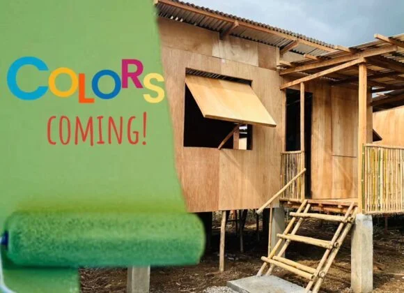 A Splash of Color and Hope